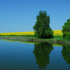 photo "Sweet home Sachsen-Anhalt"