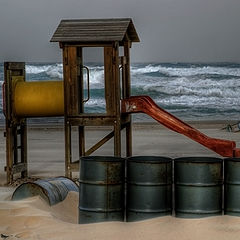 photo "Seascape with a little bird"