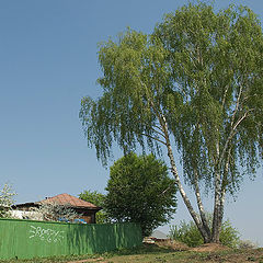 фото "Уфимские улочки..."