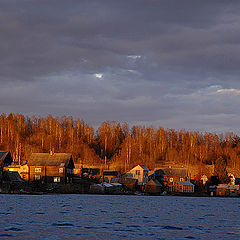 фото "койкары"