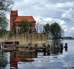 фото "Через пень природа...."