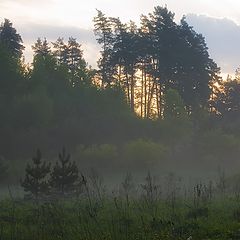 фото "Неспешные шаги снов..."