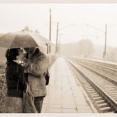 фото "любовь под дождем"