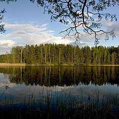 фото "Озеро Мунас."