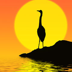 photo "Sunset"