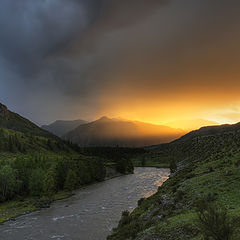 photo "The last sunbeam"