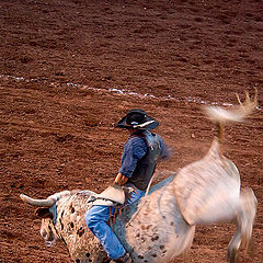 photo "rodeo"