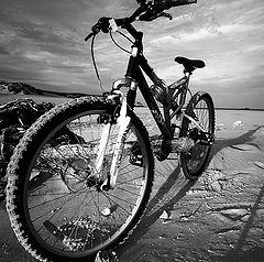 photo "bikes"