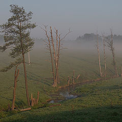 фото "Раннее утро."