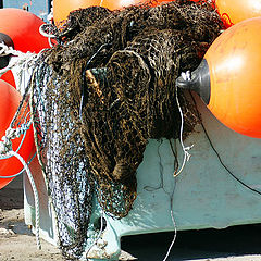 фото "Harbor Photo of fishing net"