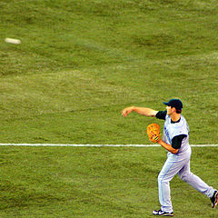 фото "Blue Jays Baseball Game"