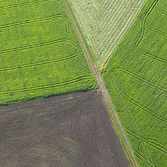 фото "Знаки"