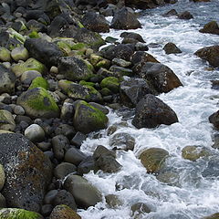 фото "rocky coast"