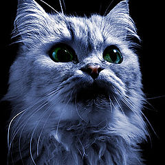 photo "Cheshire Cat"