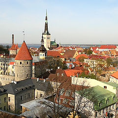 фото "Весна в старом Таллинне. Взгляд поверх крыш."