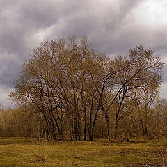 фото "без названия"