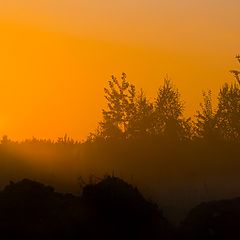 photo "Yellow fog"