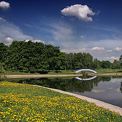 photo "Bridge"