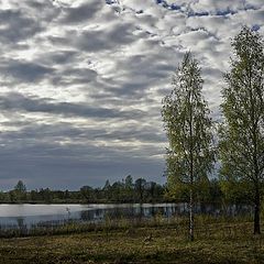 фото "Вместе не страшно"