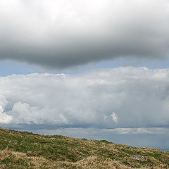 photo "the shepherd"