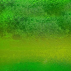 photo "green beer"