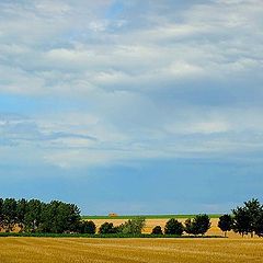 photo "green,green gras off home"