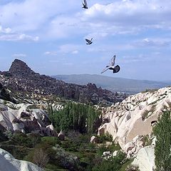 фото "Pigeon Valley / Cappadocia"