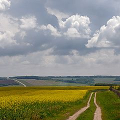 photo "Last day of May"