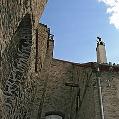 photo "Spring In Old Tallinn. About a cat."