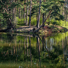 photo "Sunny Island"