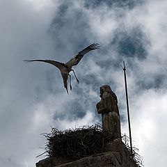 photo "Bringing a child"