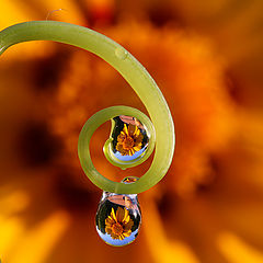 photo "drops"