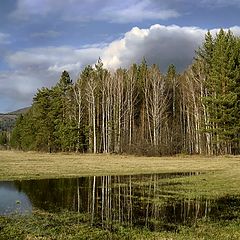 фото "Весна"