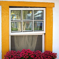 photo "window"