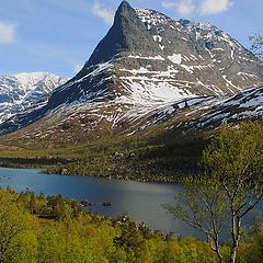 фото "Innerdalen"