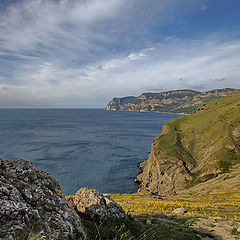 photo "Wind from a sea"