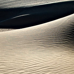 photo "Dunes Famary"