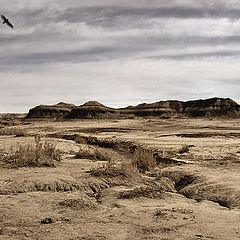 photo "Badlands"