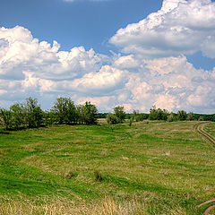 фото "Сельская дорога"