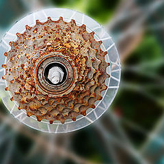 фото "Tooth Wheel"