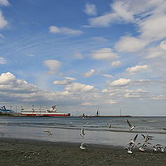 photo "Sky. Seagulls. Ferries ..."