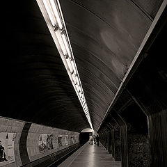 фото "underground"