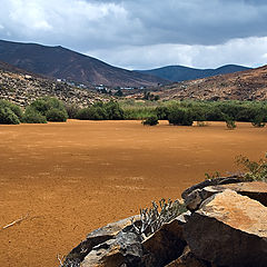 photo "Sand Lake"