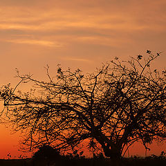 photo "Praia do Gostoso - Natal - Brasil"