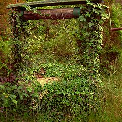 photo "very old well"