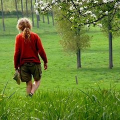 photo "spring walk"