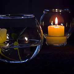 photo "While the candle burns"