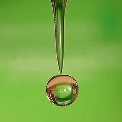 photo "Drop"