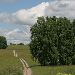 photo "Июнь в Сибири"