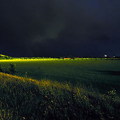 фото "After the rain..."